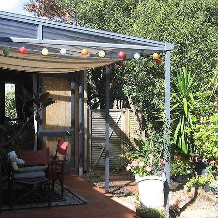 Kotuku Bed & Breakfast Whangamata Εξωτερικό φωτογραφία
